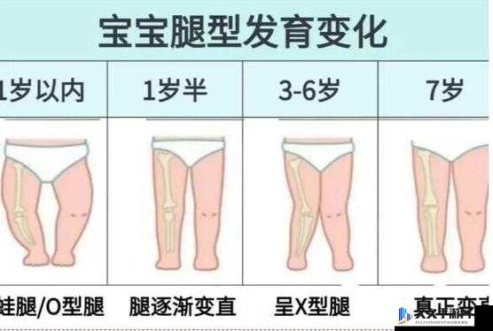 六年级下面发育这样大吗：宝宝发育早知道