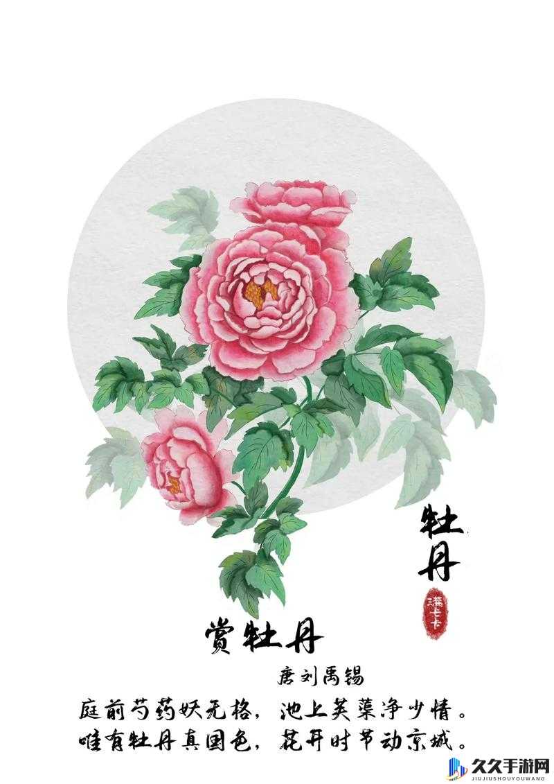 共道牡丹时相随买花去：春日赏花趣