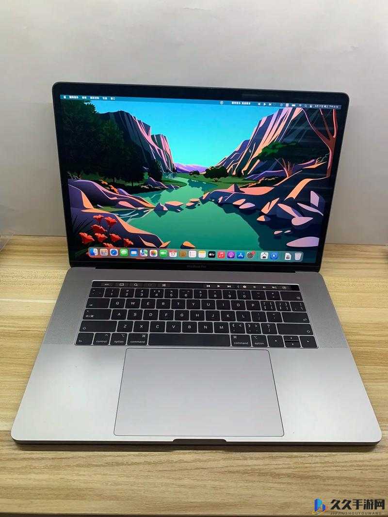 18 岁 macbook pro 高清功能：流畅体验，清晰视界