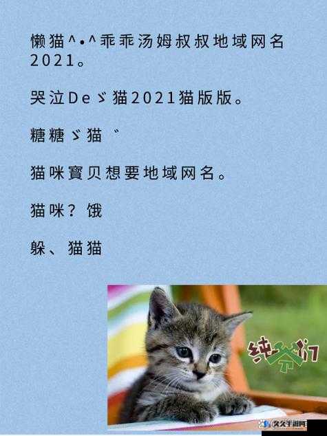 新版猫咪地域网名入口下载及相关内容介绍