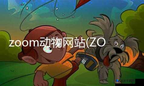 最新美国 ZOOM 动物：神奇动物世界探秘