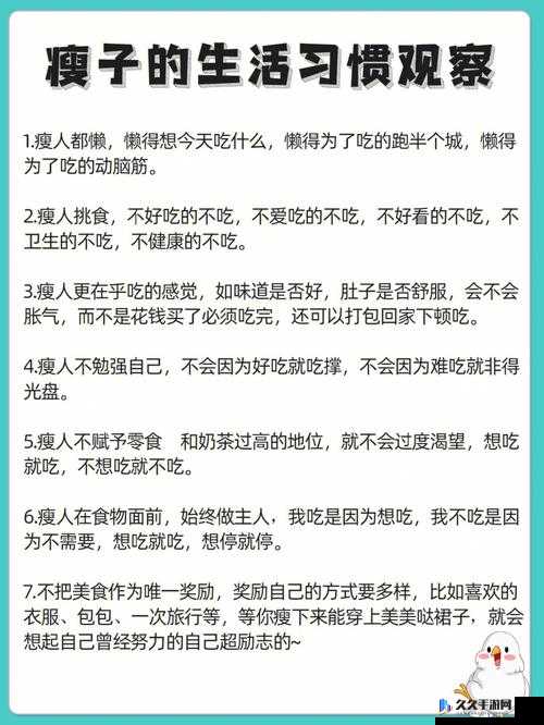 我的漂亮的瘦子 5 有什么特点:探究其特性